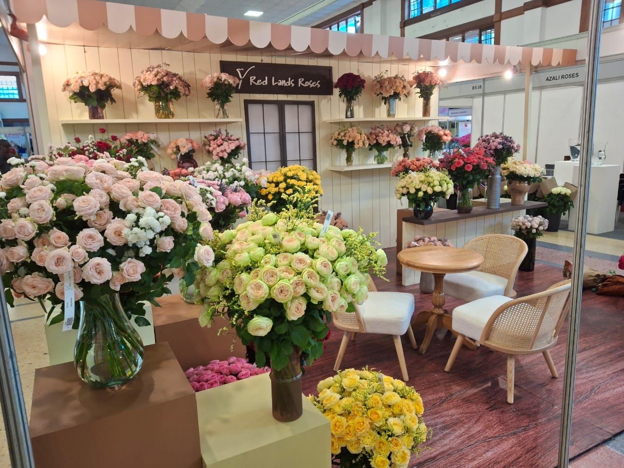 Welcome to Petals & Pulse, your curated bloom digest from the heart of Red Lands Roses