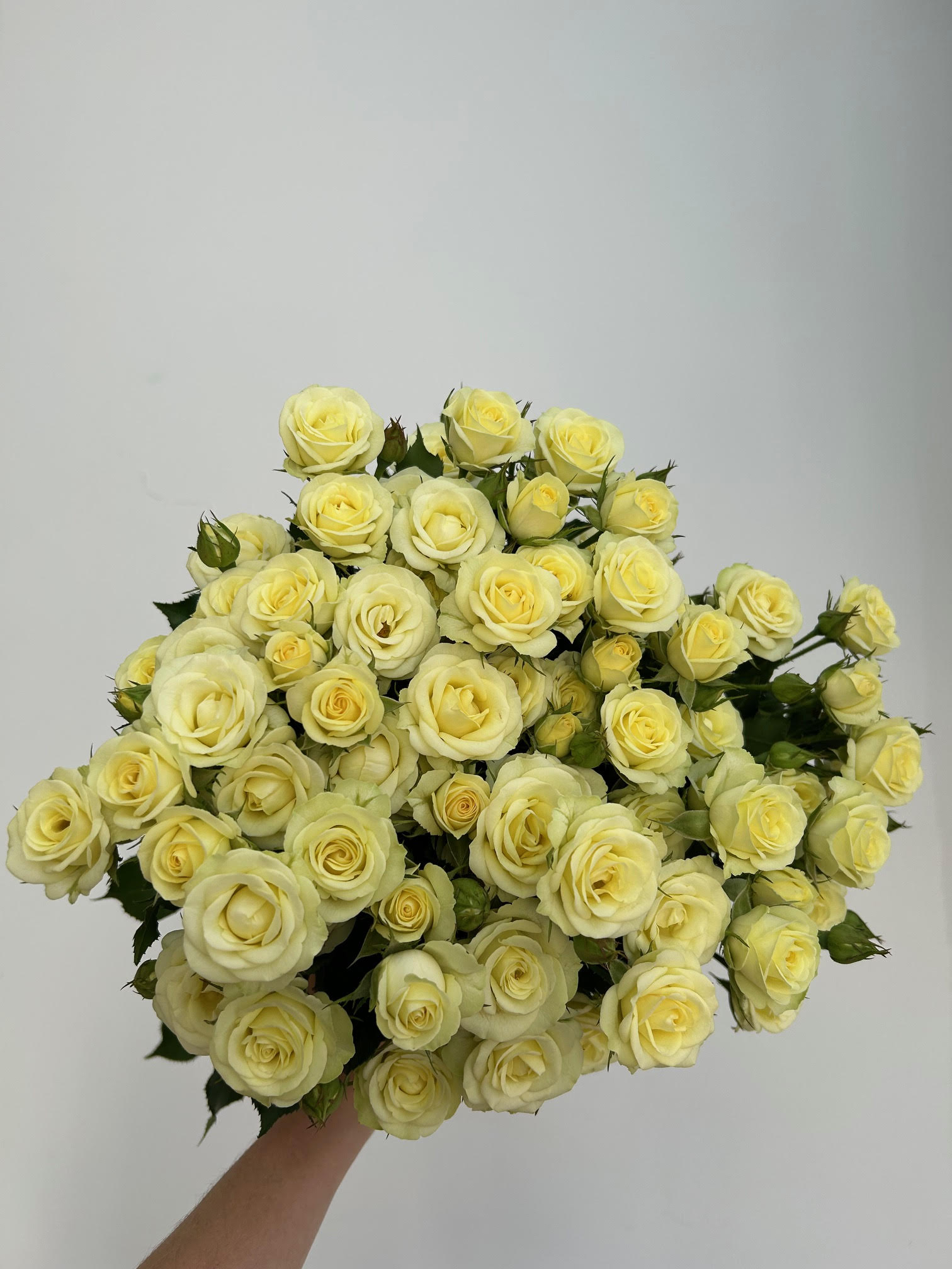 Wedding Invite