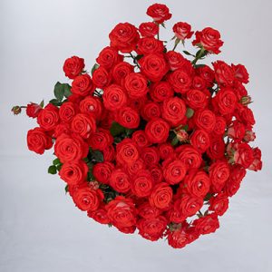 Zadique